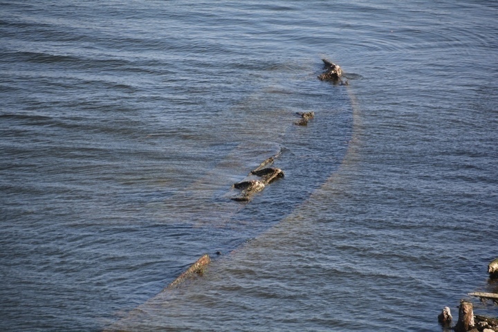 Обмеление Волги. Побит рекорд 34-летней давности, из воды показался затонувший «Саратовский ледокол» (фото)
