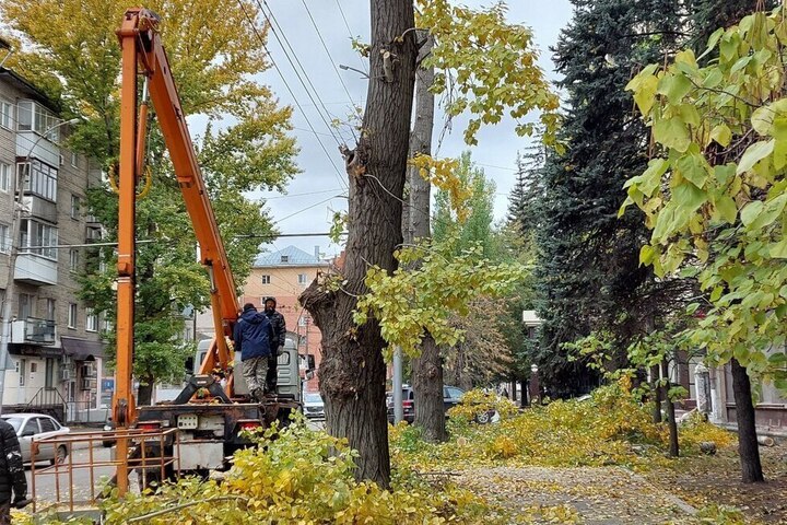 В центре Саратова из-за опиловки деревьев встали три троллейбусных маршрута