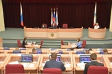 У жителей Саратова появились обязанности по содержанию придомовых территорий: после часового спора большинство депутатов проголосовали «за»