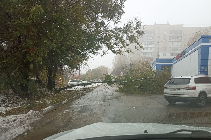 В Ленинском районе дерево упало на машину и перегородило дорогу