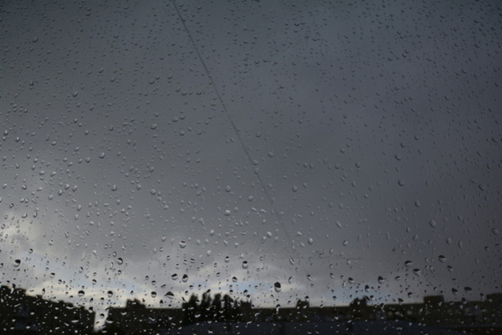 Сильный дождь, ветер и туман: на Саратовскую область надвигается непогода —  ИА «Версия-Саратов»