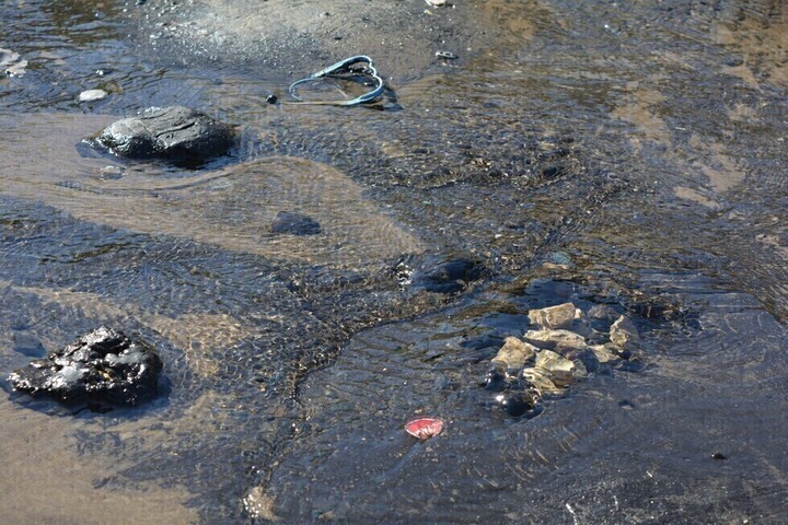 Саратовские коммунальщики незаконно сливали сточные воды на территорию водоохранной зоны