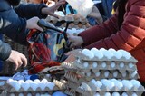 Саратовские чиновники заявили, что отпускная цена на яйца составляет 85,5 рубля