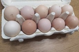 В Саратовской области ускорился рост цен на яйца: средняя цена десятка уже достигла 105 рублей