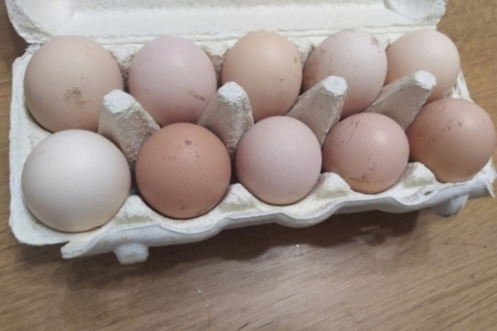 В Саратовской области ускорился рост цен на яйца: средняя цена десятка уже достигла 105 рублей