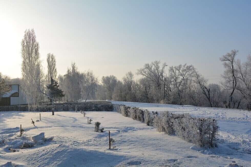 На Саратовскую область надвигаются аномальные морозы: объявлено штормовое предупреждение