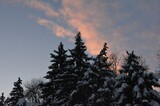 В Саратовскую область пришли морозы, но снег тоже будет