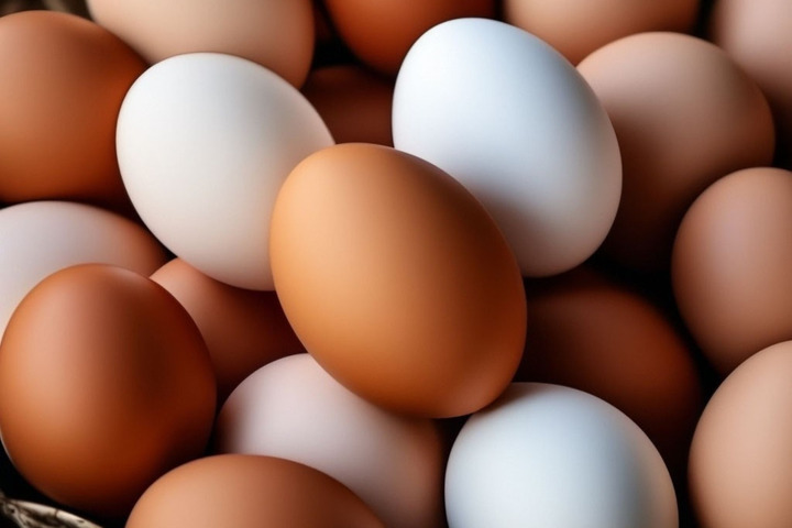 Резкий рост цен на яйца: в дело вмешался Генеральный прокурор РФ