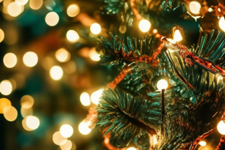 После публикации «Версии-Саратов» чиновники рассекретили характеристики дорогостоящей новогодней ели