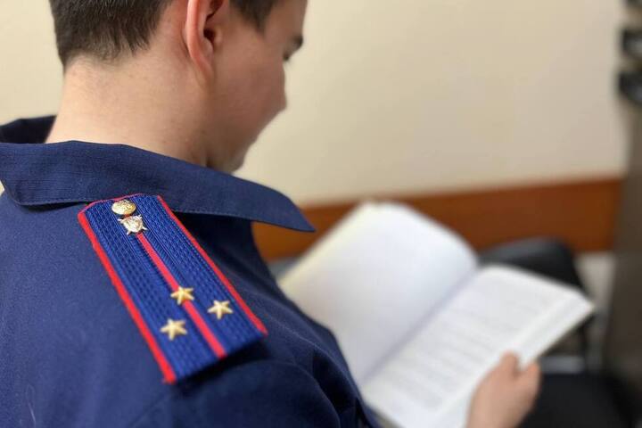 В Саратове четырехлетний мальчик хотел сфотографироваться со скульптурой снеговика и получил ожоги: возбуждено уголовное дело 