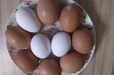 Бизнесмен о ценах на яйца в Саратовской области: «Стабилизируются и больше расти не должны»