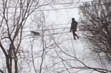 В соцсетях обсуждают мальчика из Балаково, который жестоко обошелся с щенком