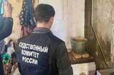 В саратовском селе 17-летняя девушка насмерть отравилась угарным газом: ее друга будут судить