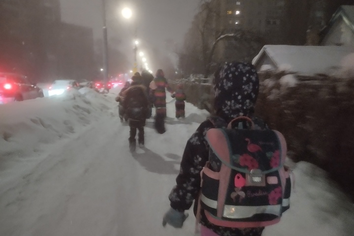Из-за холодов в Саратовской области вновь отменяются занятия у некоторых учеников