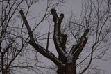 Пассажиры не смогут воспользоваться тремя троллейбусными маршрутами: рассказываем, почему 