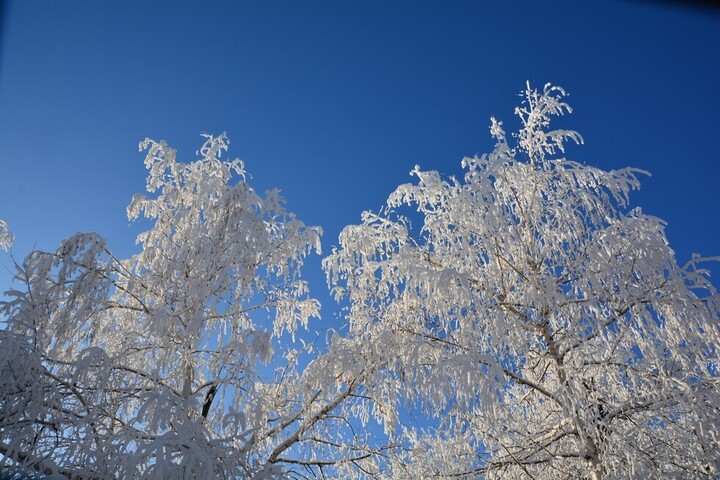 В Саратовской области сохранится мороз до 26 градусов