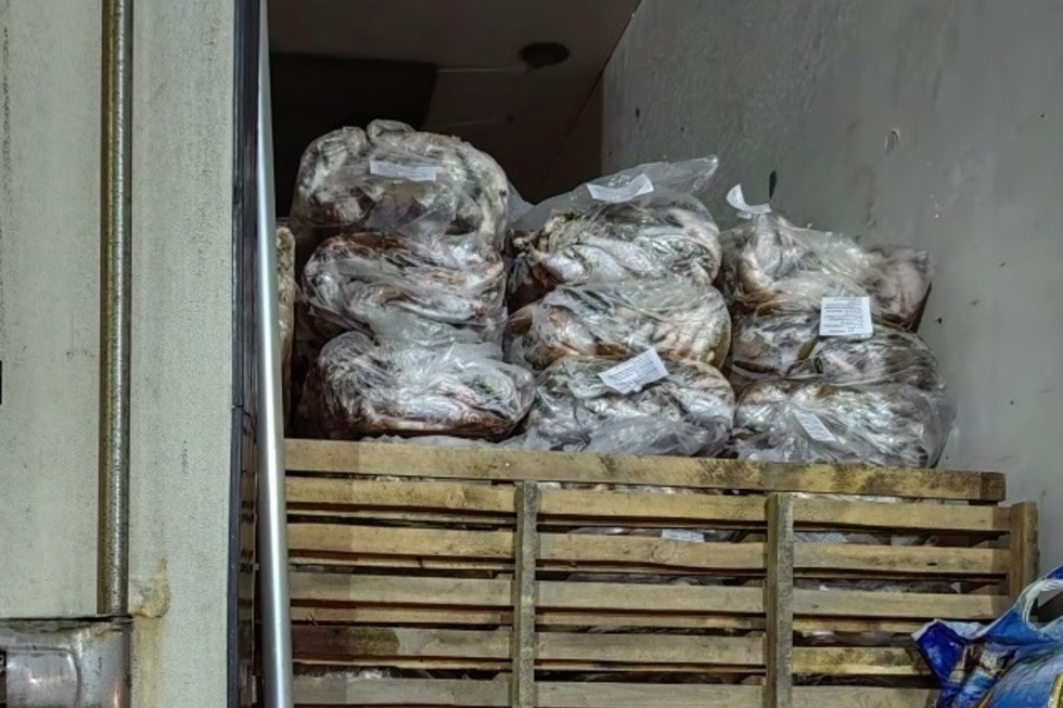 В Саратовскую область не пустили более 20 тонн воблы и чехони