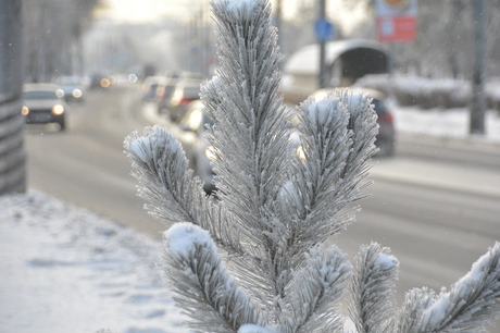 Аномальные морозы до -30 градусов задержатся в Саратовской области