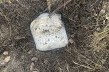 В Саратове будут судить мигрантов, у которых изъяли крупную партию мефедрона