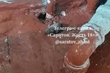 В саратовской школе нашли тараканов и мышей: Роспотребнадзор обратился в прокуратуру