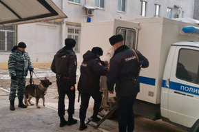 Ущерб бюджету на 10 миллионов рублей. Задержаны сотрудники организации, которые должны были заниматься бездомными животными в Саратове