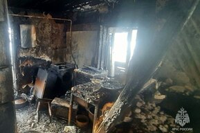 В Базарно-Карабулакском районе загорелся дом с пьющими родственниками и коровник с животными