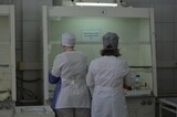 Мартовские праздники. Рассказываем, как будут работать медучреждения