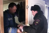Саратовская фирма начала стройку без экспертизы и торгов: на объекте трудились мигранты