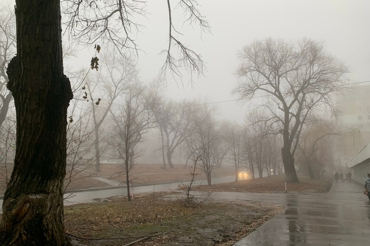 От -15 до +6 градусов и туман: в ГУ МЧС рассказали, какая погода ожидается в Саратовской области