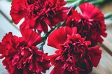 Стало известно о гибели еще одного участника СВО из Саратовской области