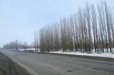 Водитель автобуса бросил на трассе подростка-инвалида, который проехал свою остановку: уголовное дело дошло до суда