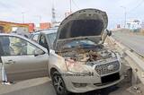В ДТП на Вольском тракте пострадала женщина