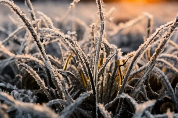В Саратовской области может похолодать до минус 1 градуса