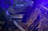 На Кумысной поляне иномарка врезалась в дерево