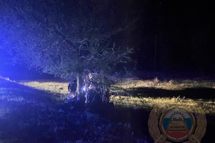 В Балаковском районе ВАЗ с молодыми людьми врезался в дерево: двое погибли, двое в больнице
