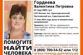 Саратовских водителей просят помочь в поисках пропавшей женщины