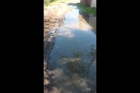 «Огороды, дома и погреба заливают канализационные стоки»: покровчанин показал улицу, на которой живёт ветеран ВОВ