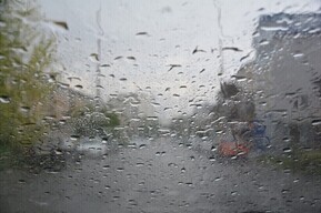 Сильный ветер, дождь и гроза: жителей Саратовской области предупредили о плохой погоде