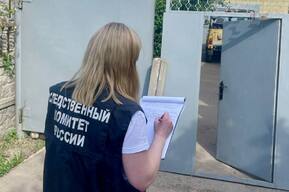 В Калининске на ребенка рухнули ворота: следователи проводят проверку