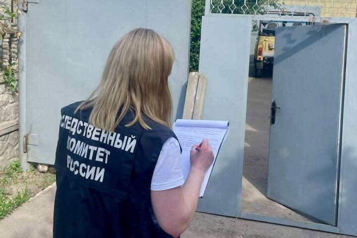 В Калининске на ребенка рухнули ворота: следователи проводят проверку