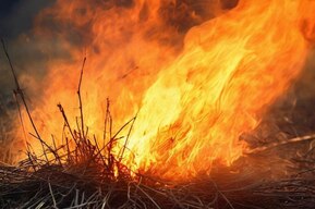 Пожар на одном из волжских островов в районе Энгельса: в МЧС рассказали подробности