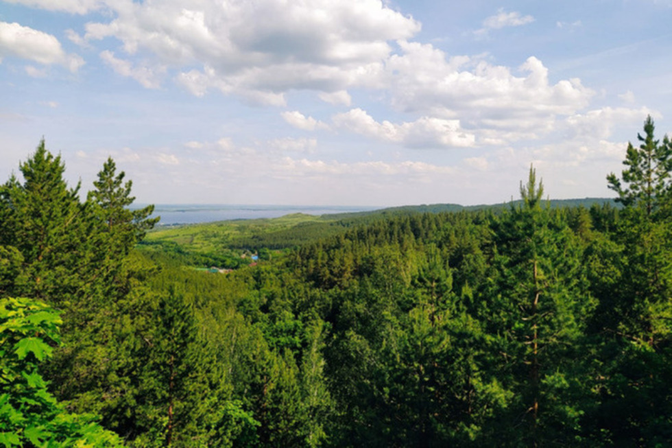 Эксперты оценили экологическую обстановку в Саратовской области (регион на 50-м месте в стране)