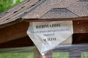 Мышиная лихорадка в Саратовской области. Роспотребнадзор сообщает, что количество грызунов может значительно возрасти