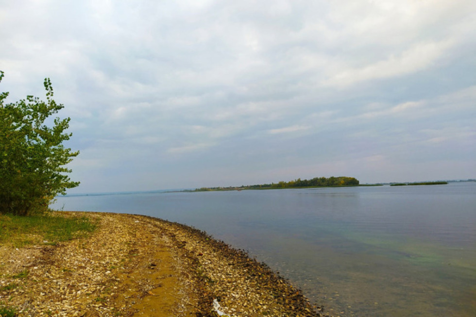В Саратовской области можно купаться ещё на девяти пляжах: обновлённый список