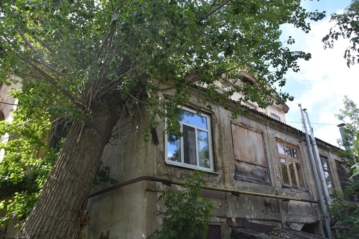 Огромный тополь рухнул на один из старейших жилых домов-памятников Саратова: жители бьют тревогу, чиновники не торопятся