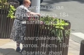 «Надергала себе целый букет»: саратовцы обсуждают поведение женщины возле гигантского горшка на Волжской