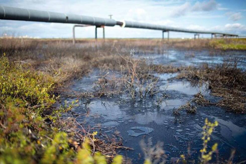 Разлив нефтепродуктов в Затоне. Ущерб экологии оценили в 672 тысячи рублей