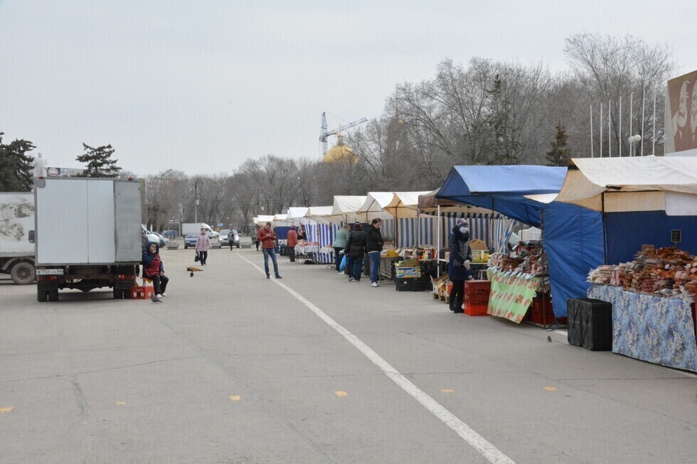 В Энгельсском районе торговцам «дарами осени» выделили 92 места: время работы ярмарок