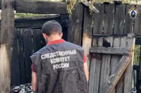 На пожаре в сарае в Дергачевском районе погиб четырёхлетний мальчик