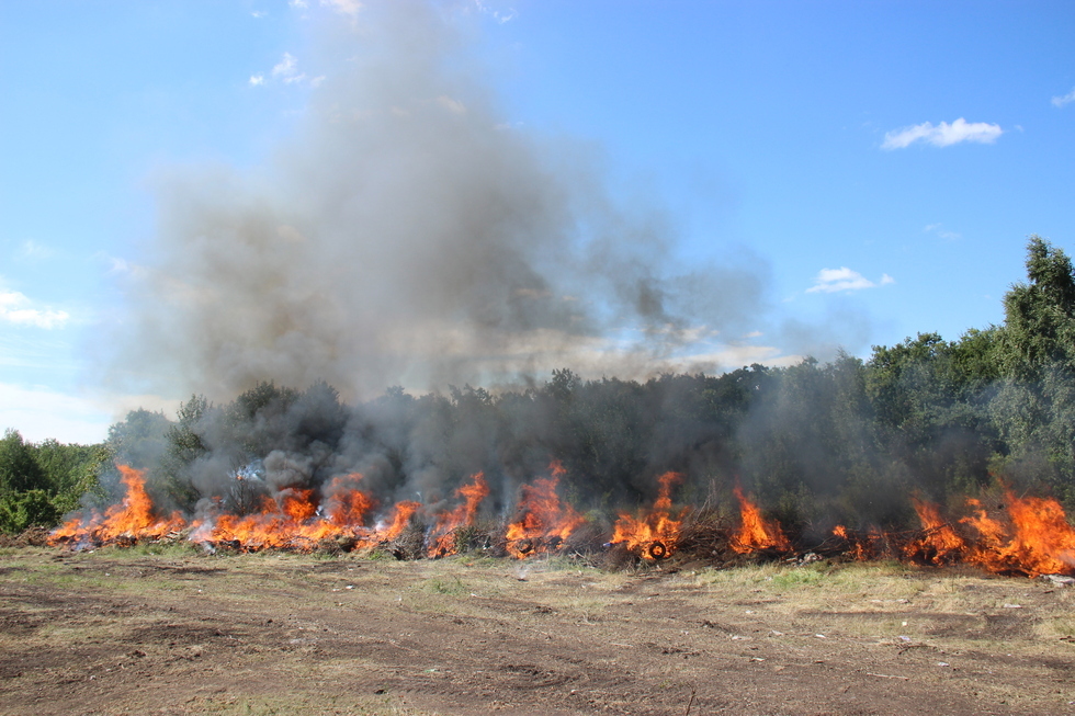 Лесные пожары. В Калининском районе огонь распространился на площади в 500 квадратных метров